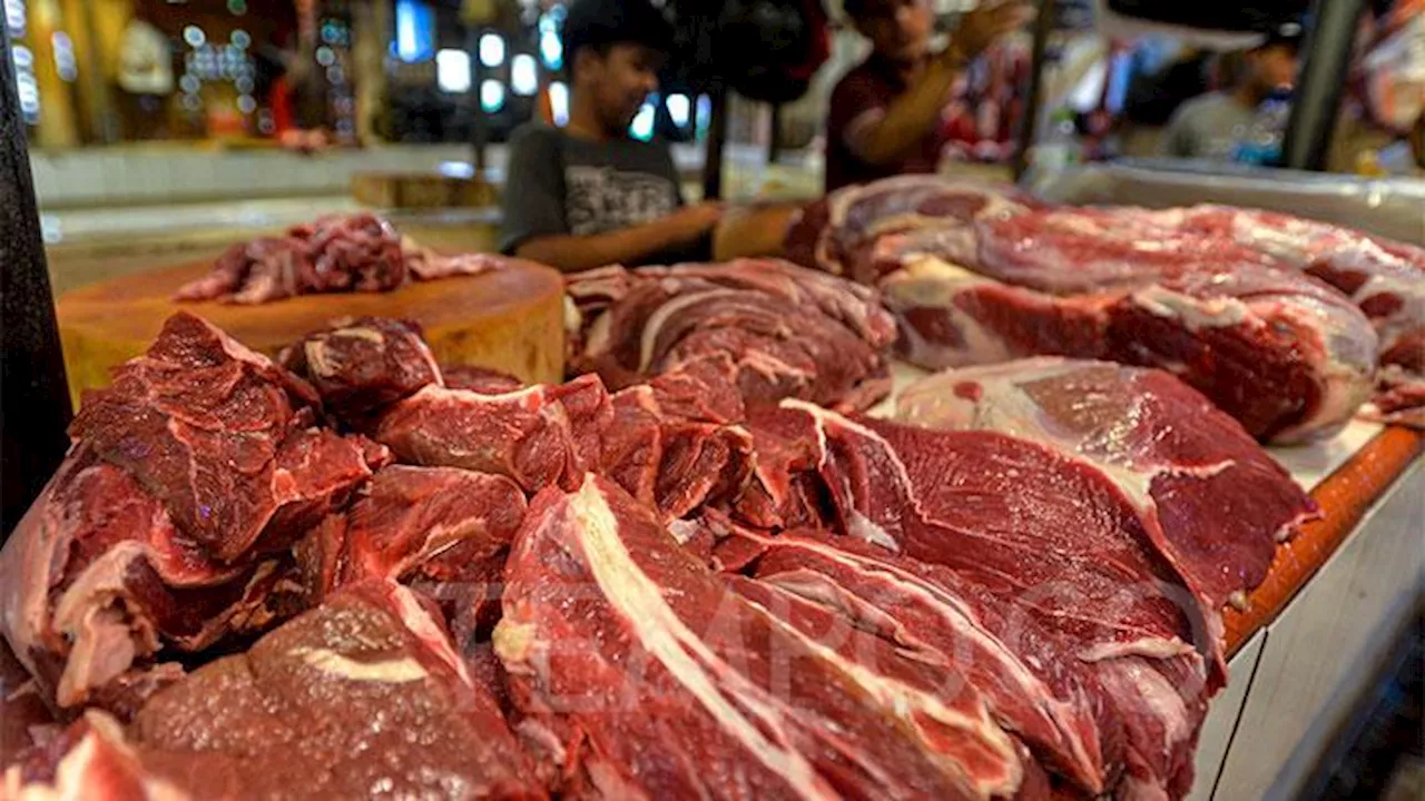 Pemerintah Alihkan Kuota Impor Daging Sapi ke BUMN