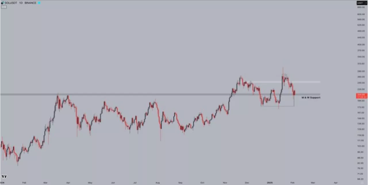 Solana Rebounds 25% From Key Support Levels, Analysts Predict Bullish Run
