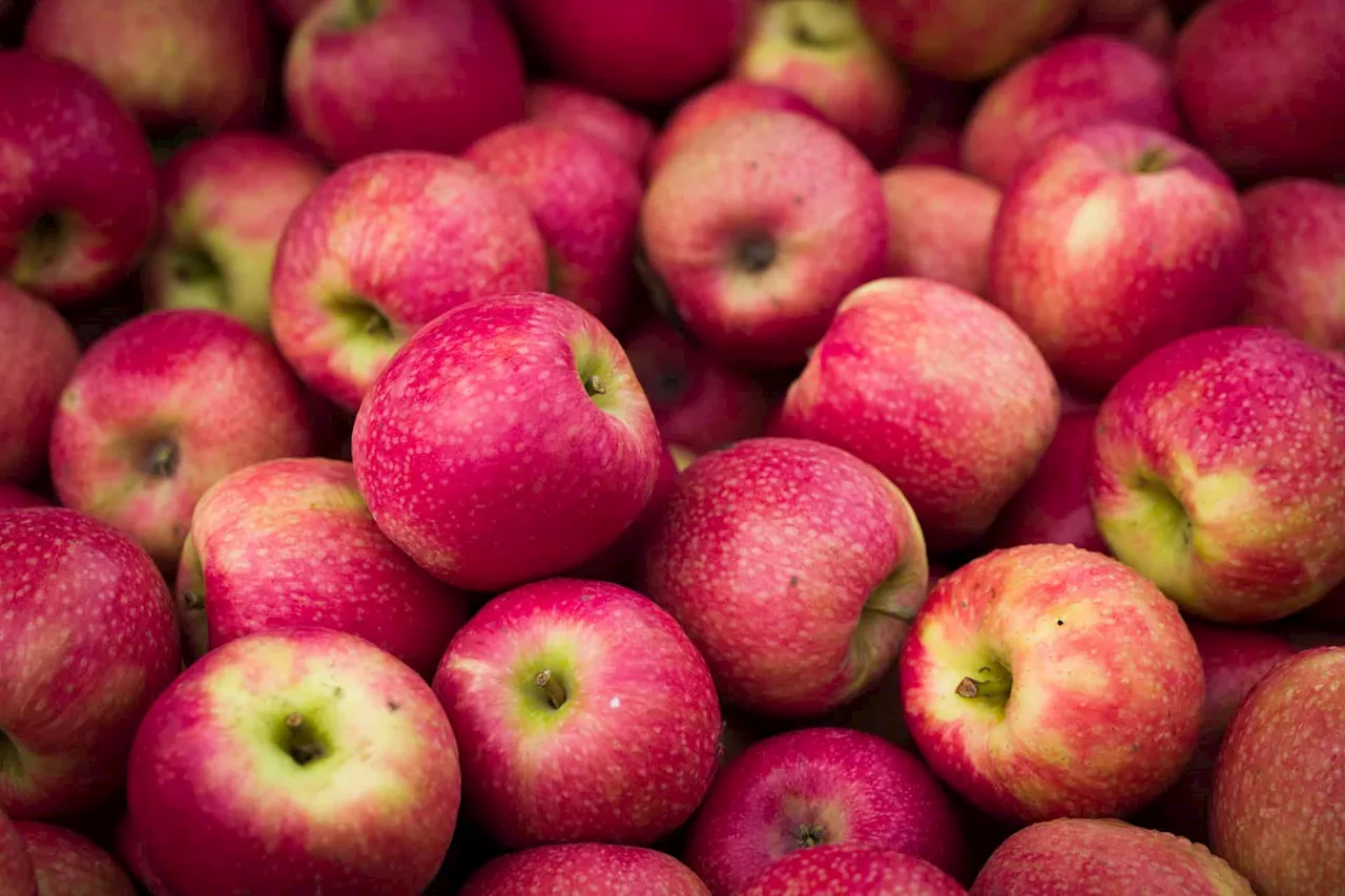 South Africa to Resume Exporting Apples to Thailand