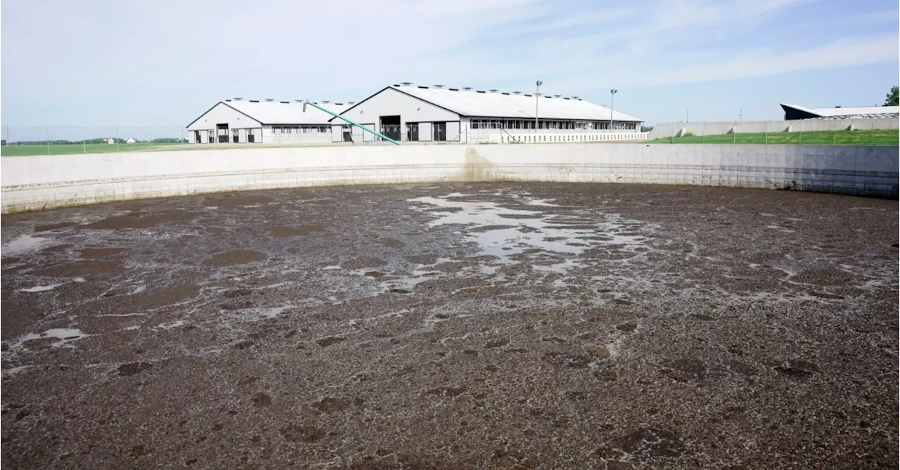 Wastewater Testing Could Be Key to Tracking Avian Influenza in Farms