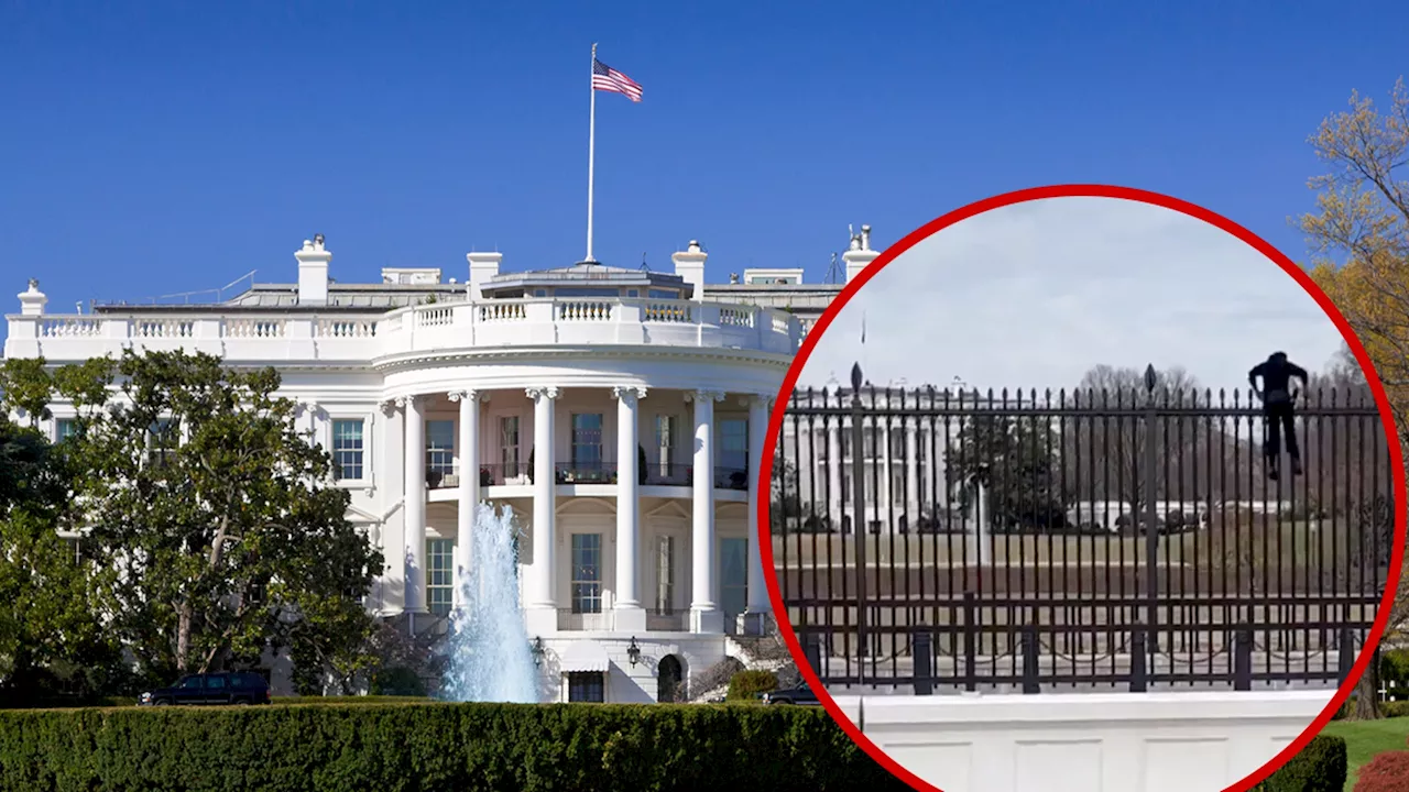 White House Intruder Apprehended by Secret Service