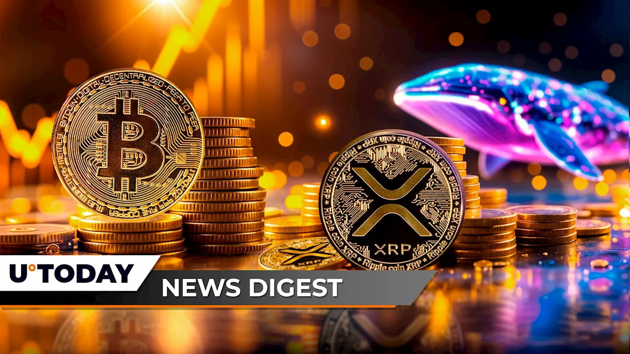 Bitcoin Dominance at 4-Year High, While XRP Plummets and SHIB Burns Crash