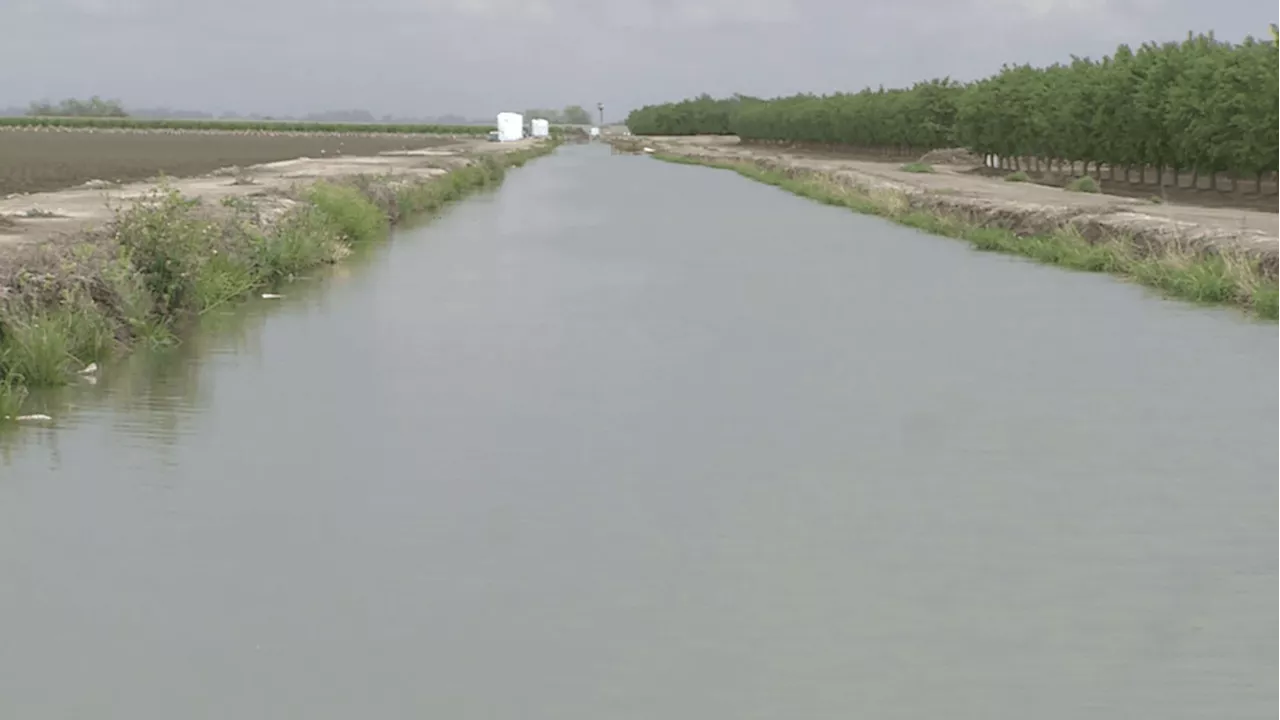 Controversial Dam Releases in California Raise Concerns over Timing and Impact