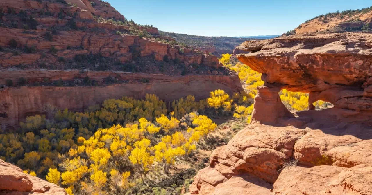 Trump Administration to Review National Monuments