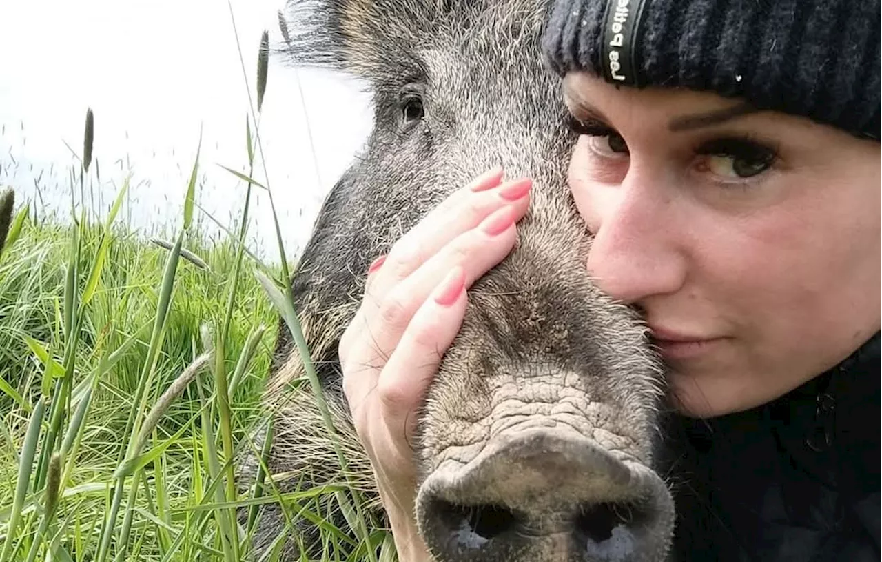 Après 18 mois de lutte, Elodie Cappé obtient le droit de garder son sanglier Rillette