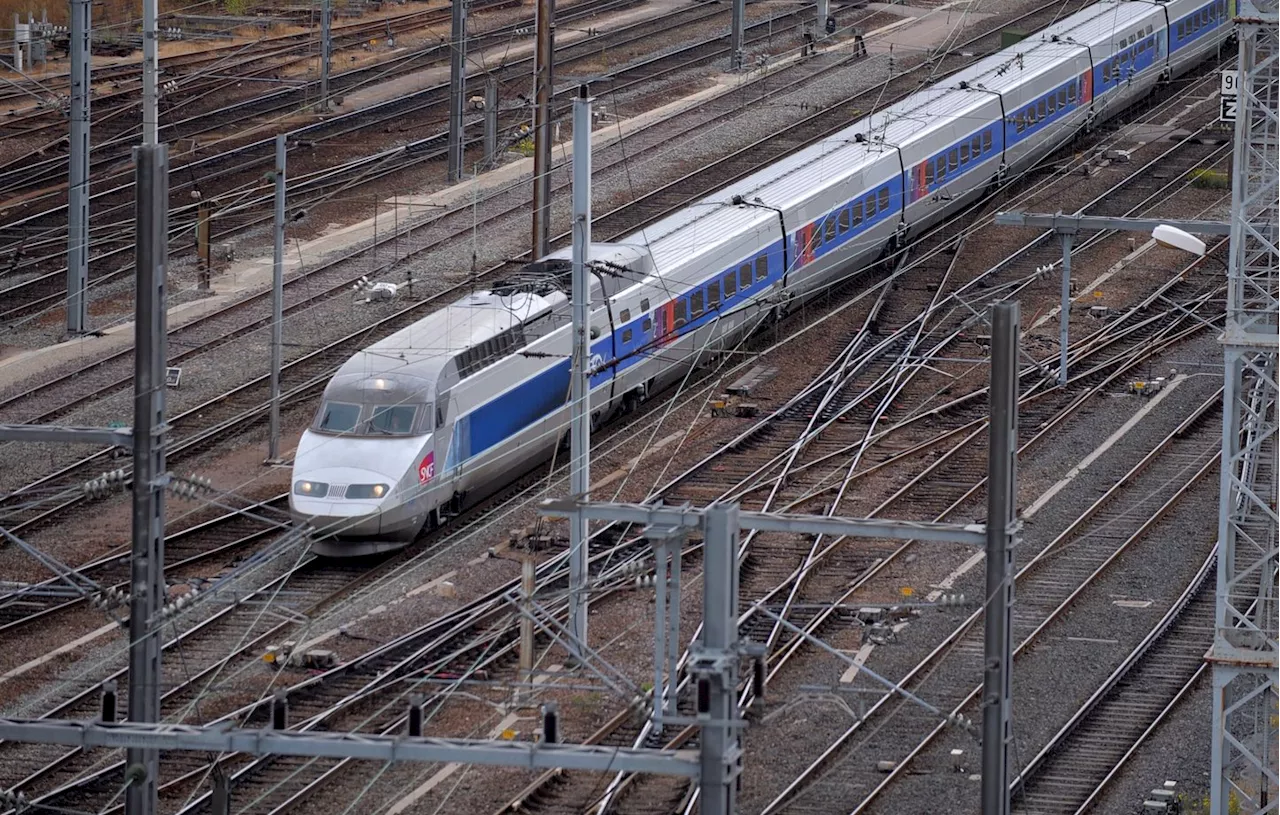 En retard, un TGV ne s’arrête pas en gare de Dijon et coince 48 de ses passagers