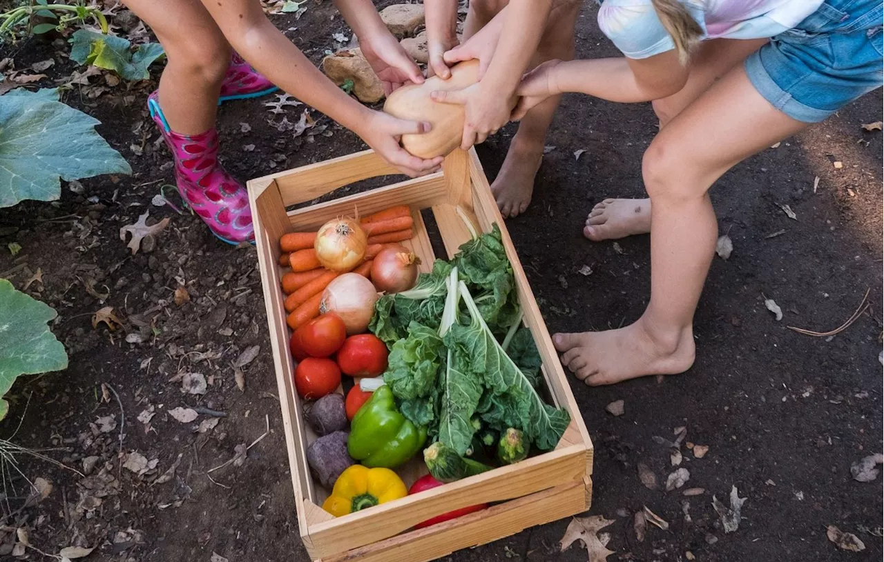 Sécurité Alimentaire des Français : Face à l'incertain, le projet de loi agricole au cœur des débats