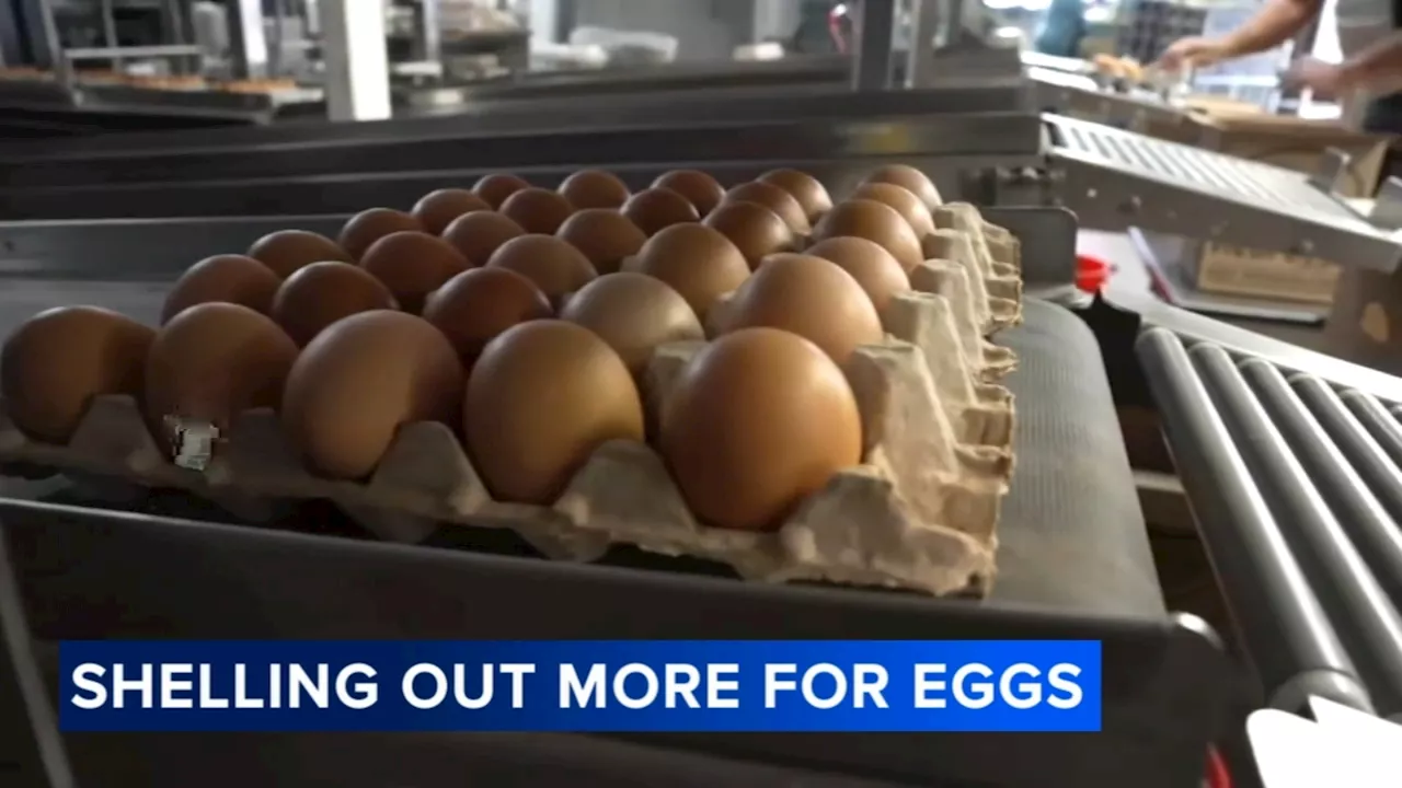 Egg Prices Soar Amid Bird Flu Outbreak