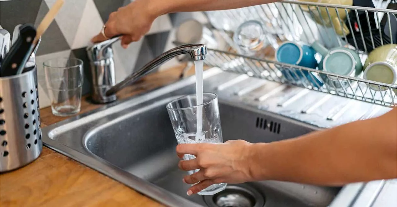 NSW Central Coast Issues Boil Water Alert Due to E. coli Contamination