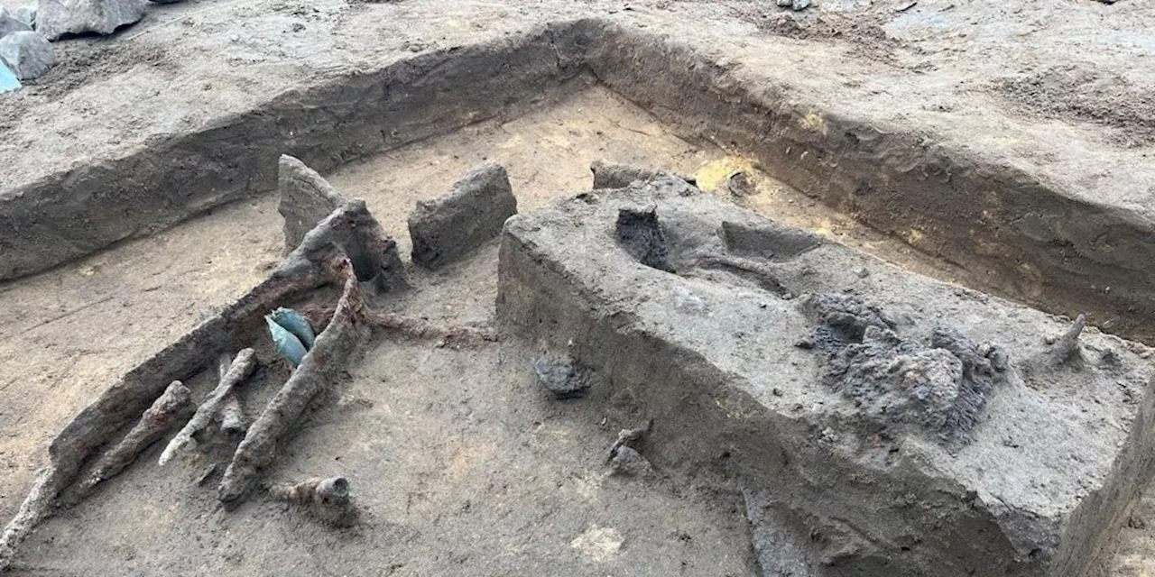 Hallazgo arqueológico en Dinamarca revela un tesoro de armas de la Edad del Hierro.