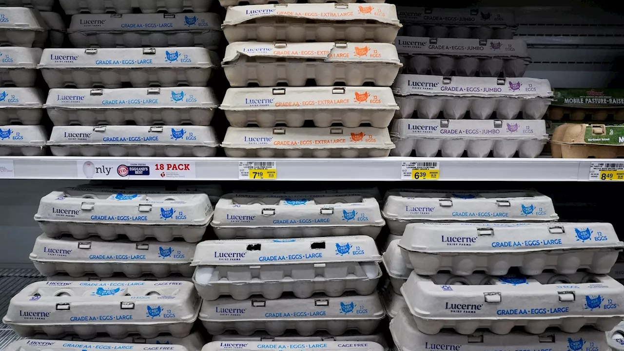 100,000 Organic Eggs Stolen in Pennsylvania