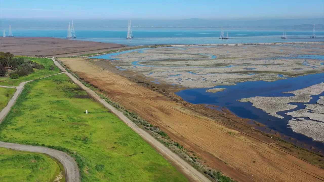 Trump's Water Order Sparks California Controversy