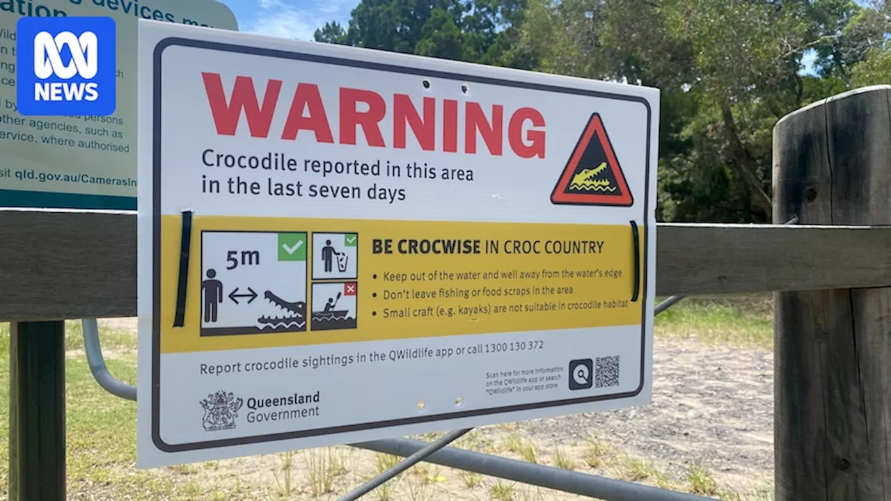 Crocodile Appears Hundreds of Kilometres From Normal Habitat