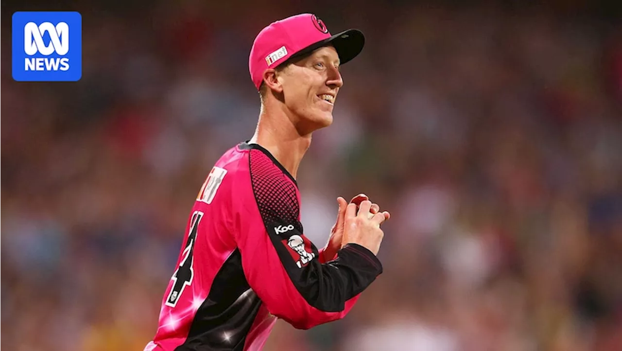 Experts in the field — which players in the Big Bash League have played the most matches where they did not bat or bowl?