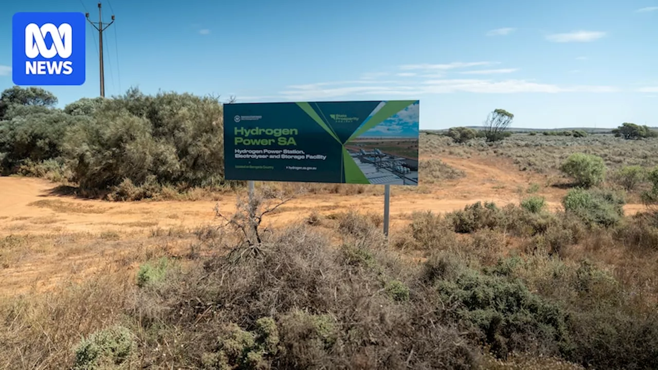 Hydrogen plant in doubt as SA premier refuses to commit to $600m project linked to Whyalla steelworks