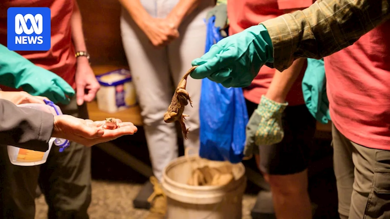 Local ecological defenders tackle the rising tide of invasive species