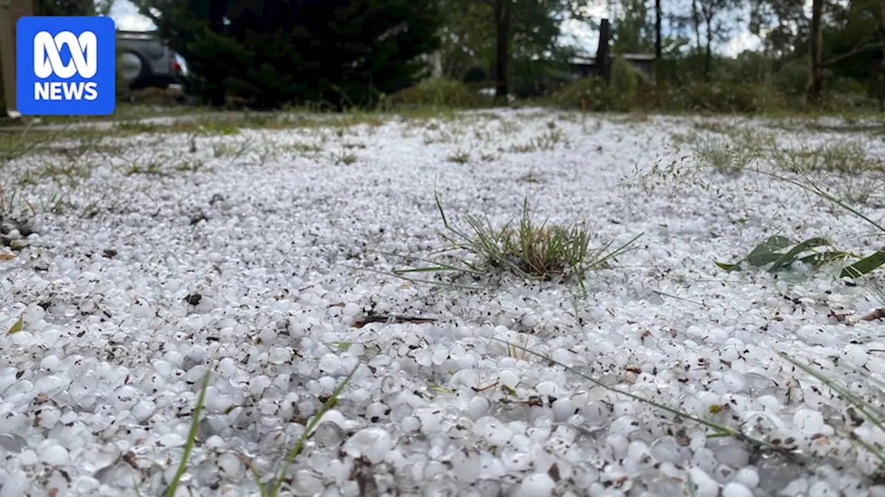 Severe Thunderstorm Leaves Trail of Damage in Canberra