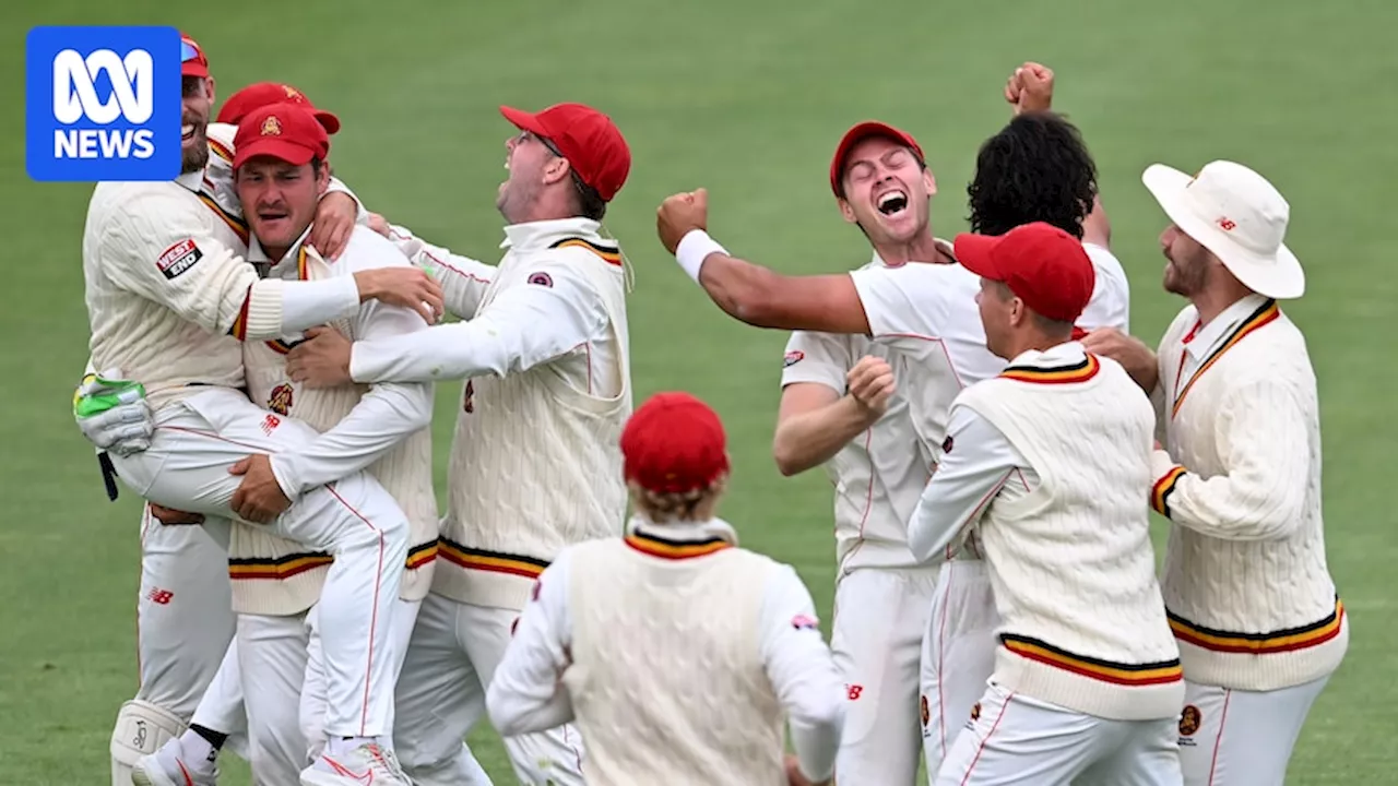 South Australia Poised to Break 29-Year Sheffield Shield Drought