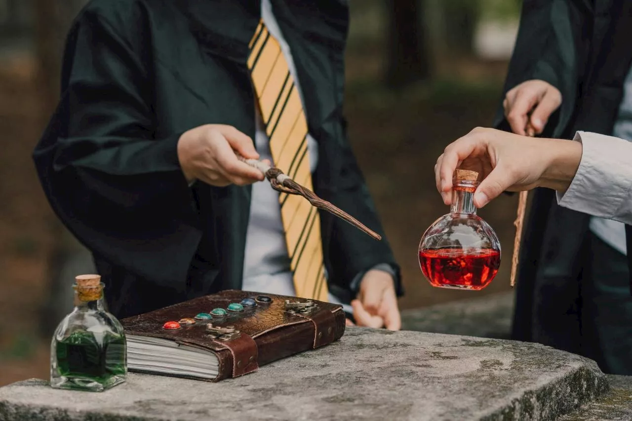 Poudlard Experience : Vivez une journée magique à Leffrinckoucke