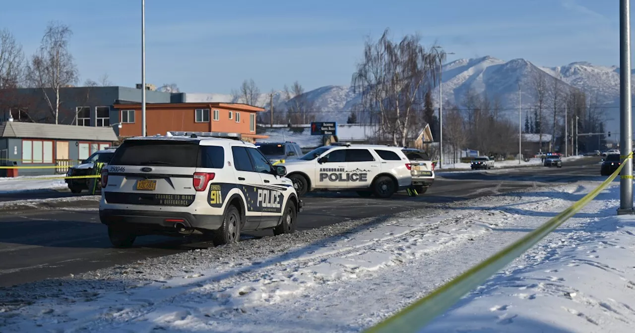 Man Fatally Shot by Anchorage Police After Pointing Gun at People and Cars