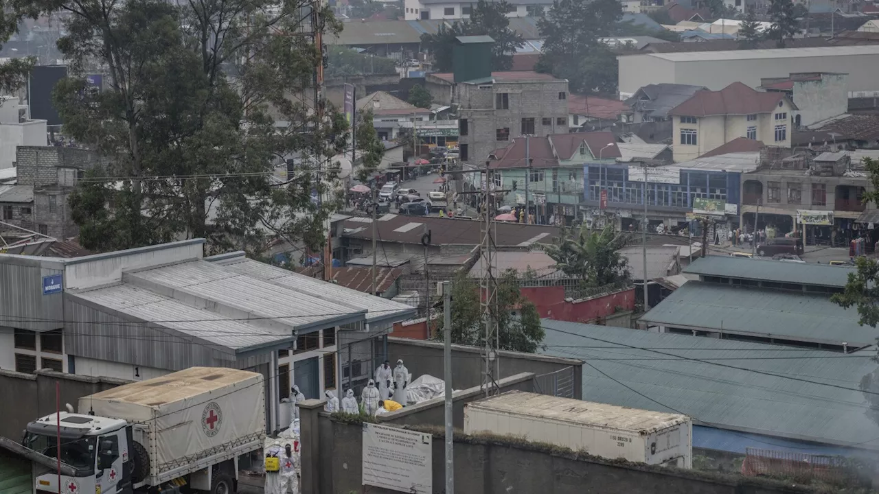 Congo calls rebels' ceasefire declaration 'false communication' as reports of fighting continue