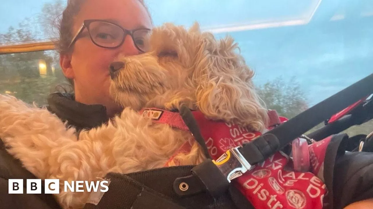 Subway Refuses Service to Woman with Assistance Dog