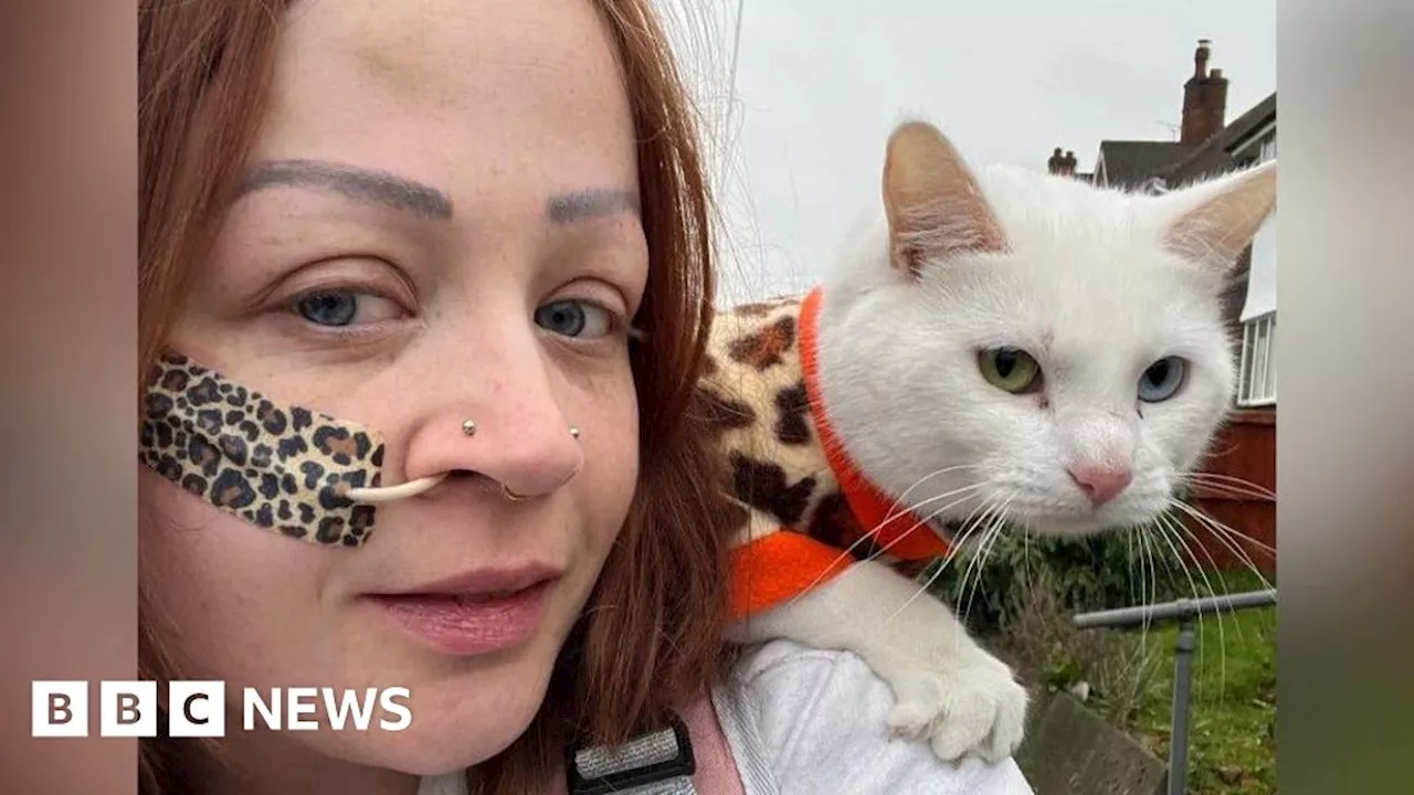 Woman Walks 100 Miles with Deaf Rescue Cat for Charity