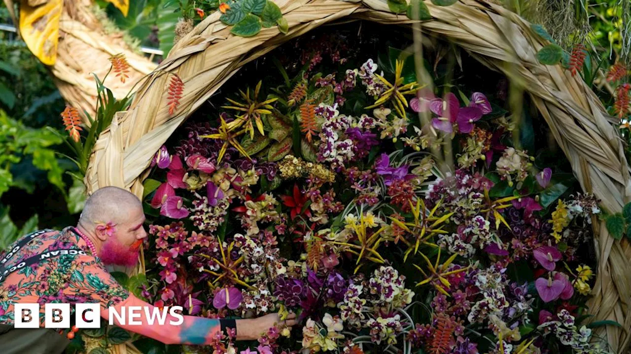 Peruvian Paradise: Kew Gardens' Orchid Display Blooms with Rare Beauty