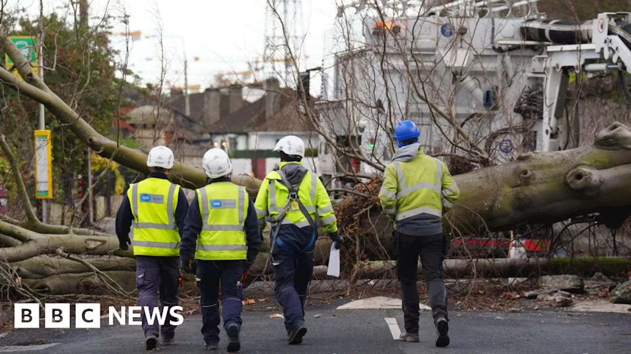 Northern Ireland Electricity Workers Assist in Republic of Ireland Storm Recovery