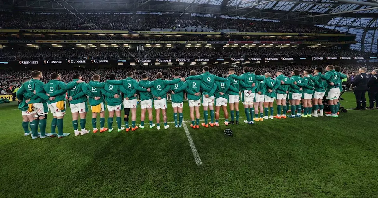 Ireland's Rugby Triumph Marred by Fan's Disgusting Act