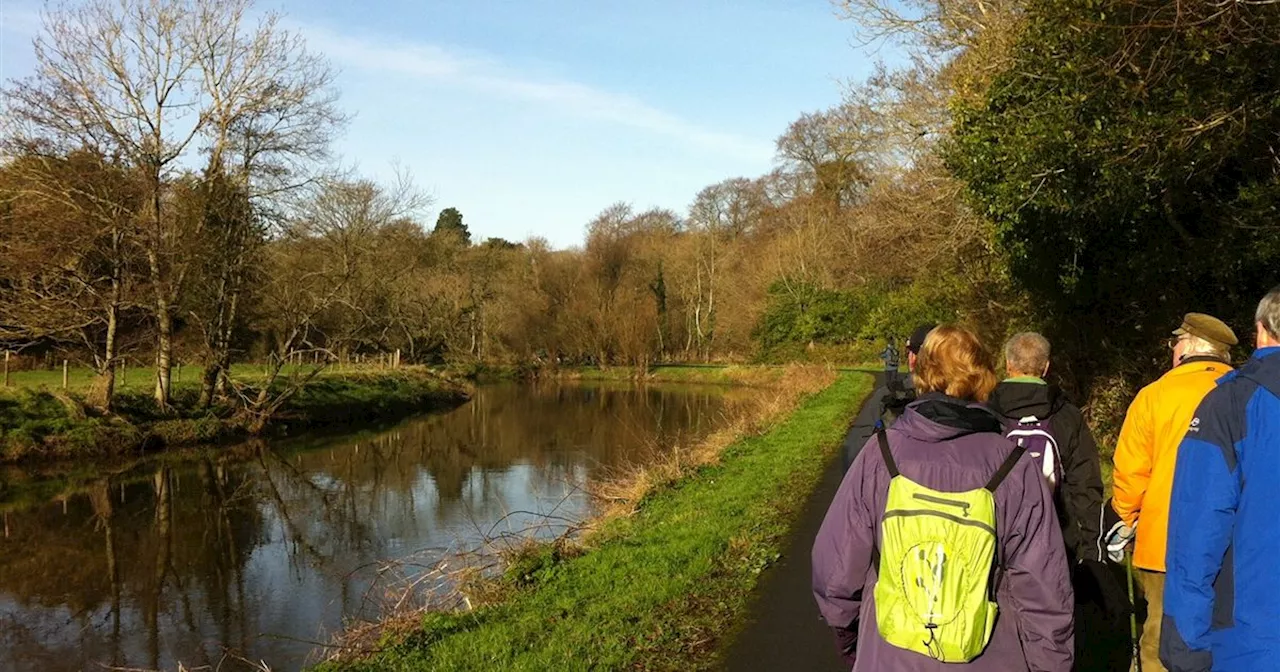 Lagan towpath expansion approved without scrutiny