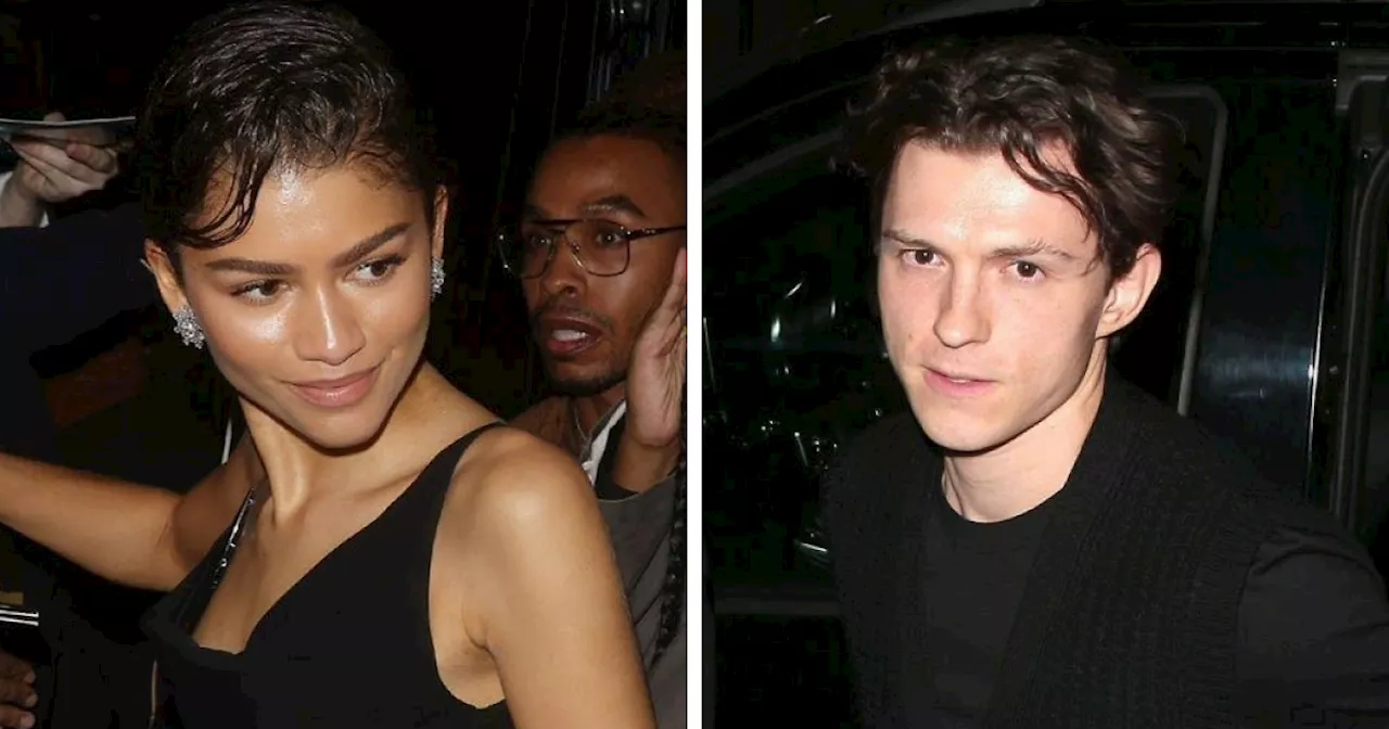 Tom Holland Cuddles with Zendaya's Family at a Party