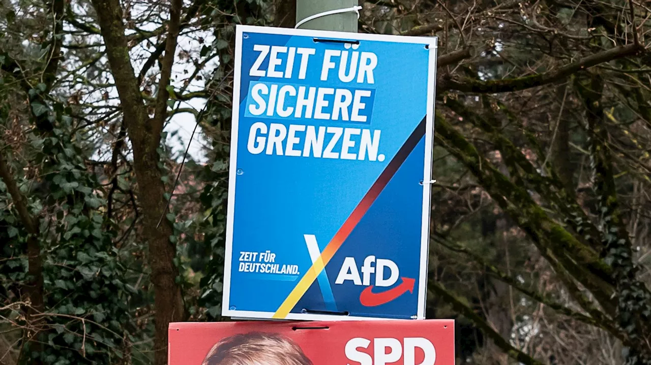 AfD veröffentlicht Wahlprogramm: Euro-Austritt, Klimawandel-Leugnung und strikte Migrationseinschränkungen