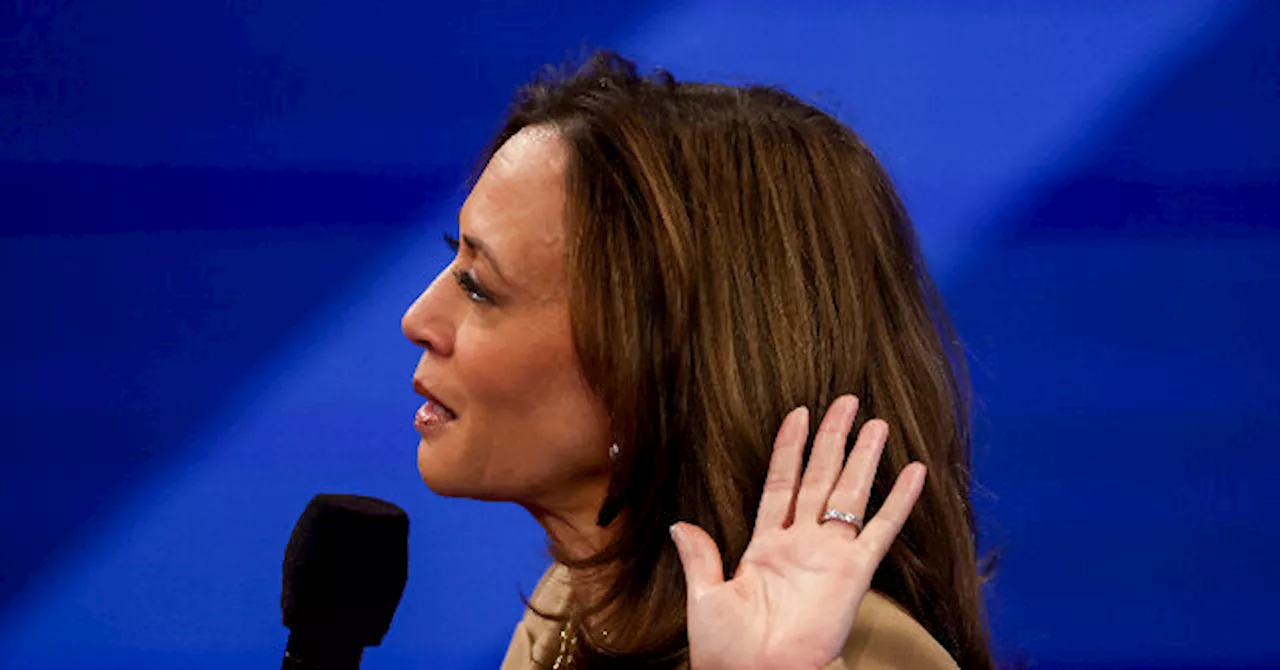 Joe Rogan Claims Kamala Harris's Campaign Lied About Show Appearance