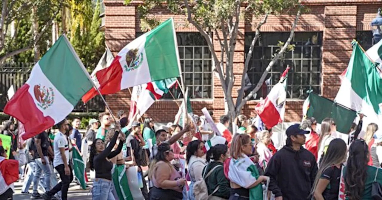 Migrants Urged to Wave Foreign Flags at Anti-Trump Protests