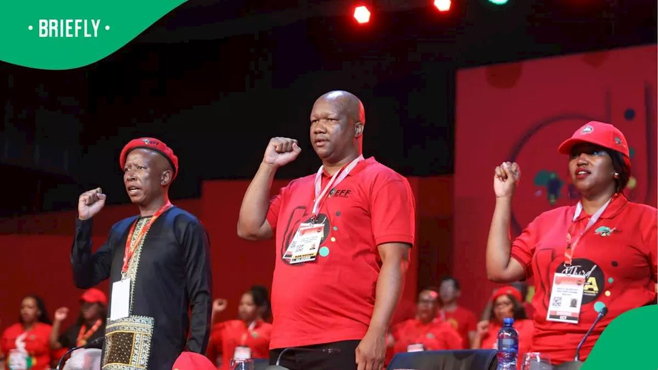 EFF Claims Cyril Ramaphosa Embarrassed South Africa With Elon Musk Call, Mzansi Mocks Red Berets