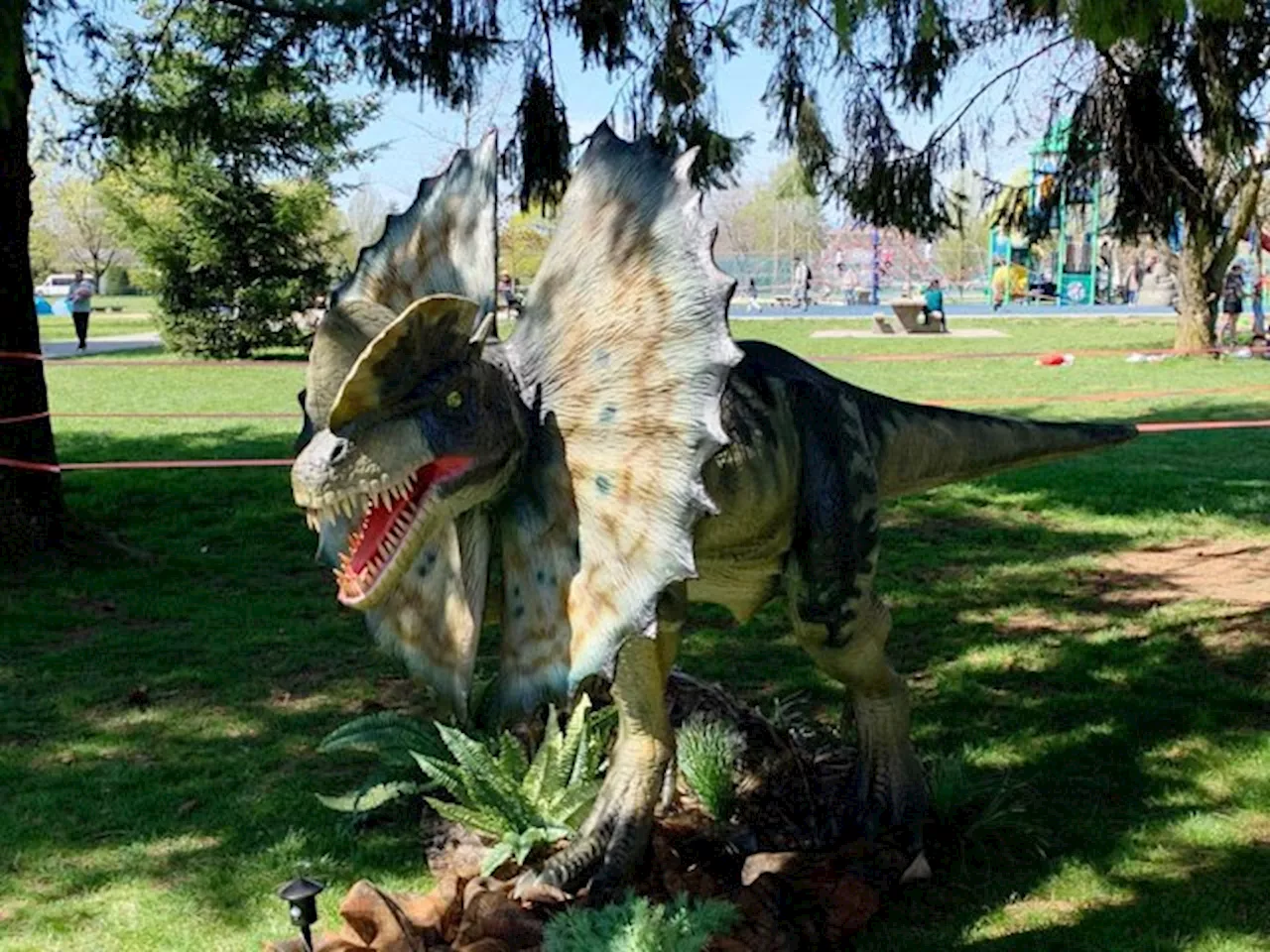 Burnaby Seeks Dino Wrangler to Transport and Operate Animatronic Dinosaurs