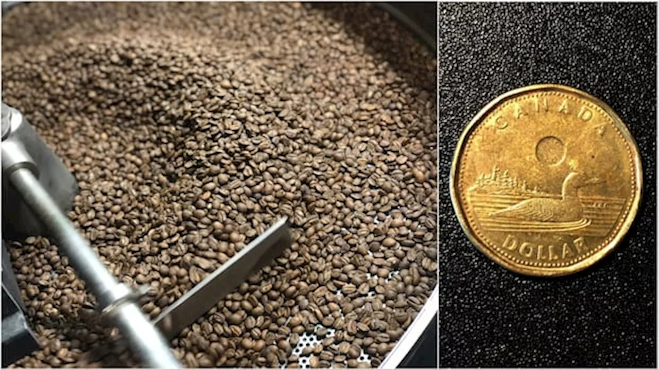 Calgary Coffee Roasters Warn of Price Increases Due to Global Market Pressures