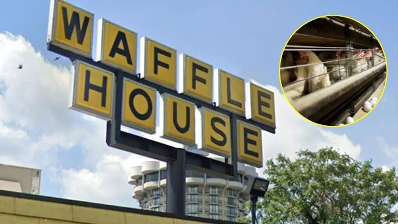 Waffle House Adds 50-Cent Egg Surcharge Due to Bird Flu