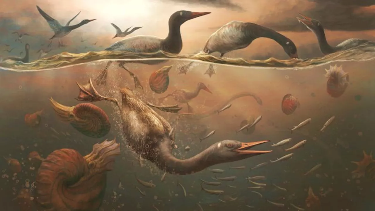 Ancient Antarctic Fossil Reveals Oldest Known Modern Bird