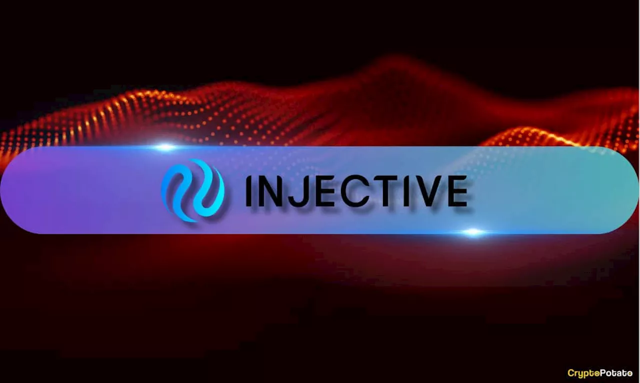 Injective Hub Revamped for Enhanced User Experience