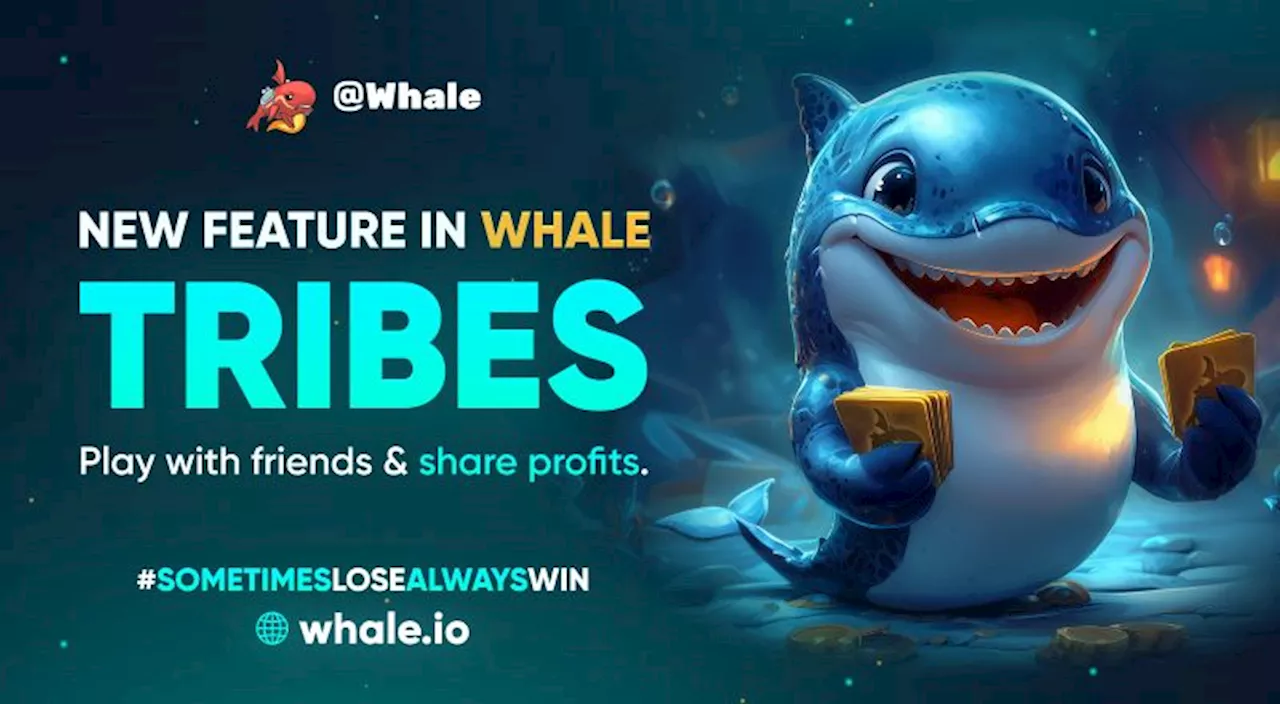 Whale Casino's Tribes: Redefining Multiplayer Casino Gaming with Collaboration and Community
