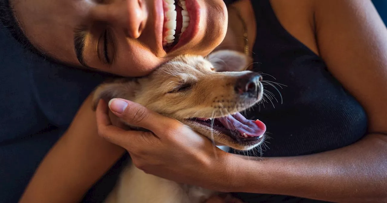 Decoding Your Dog's Love Language: 15 Signs They Adore You