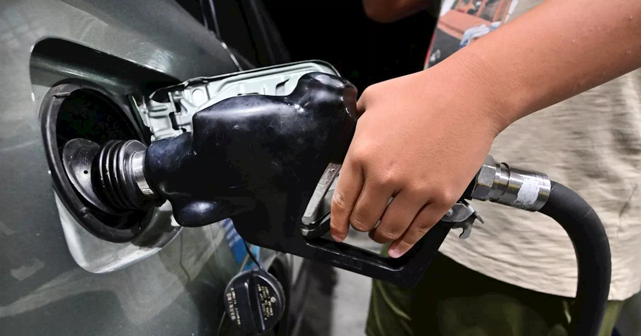 Grim survey finds poo on nation's fuel pumps along with other germs