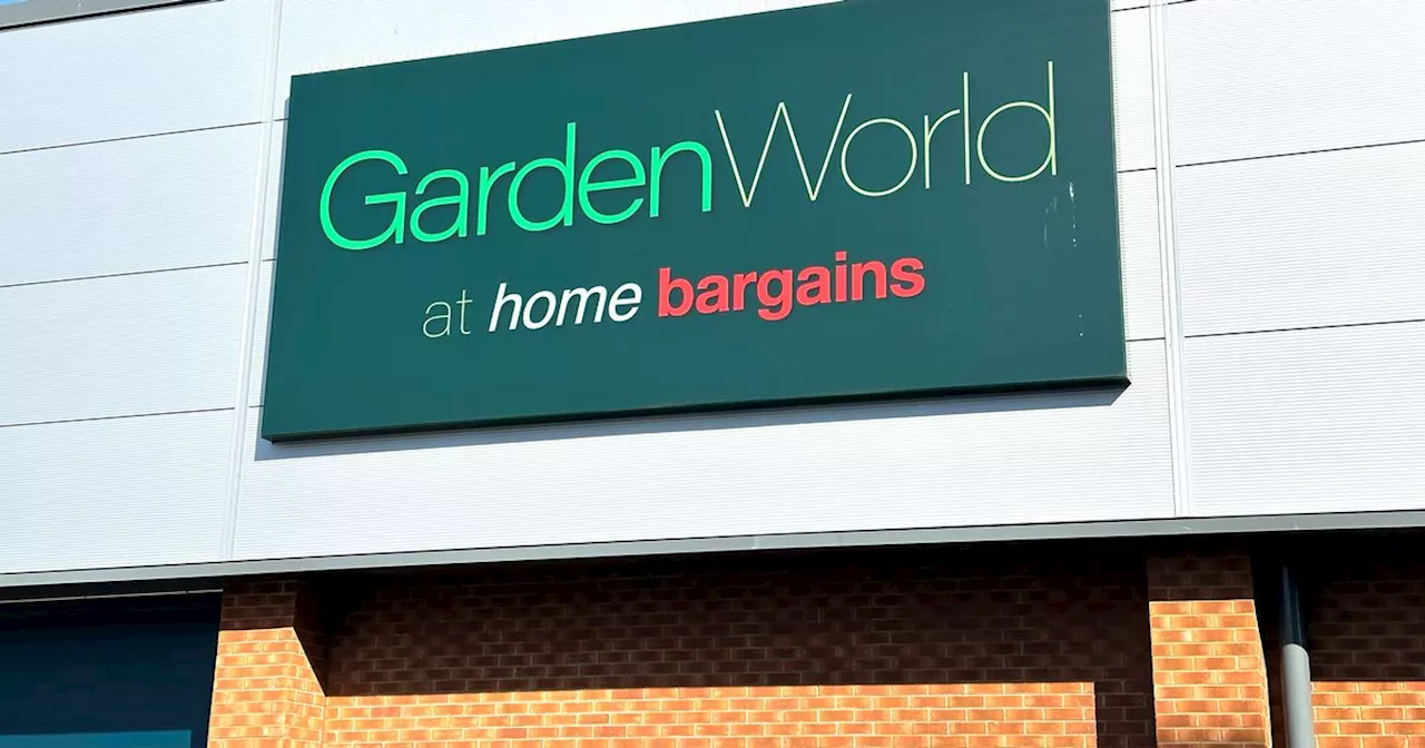 Home Bargains' Adorable Animal Topiaries Cause A Frenzy