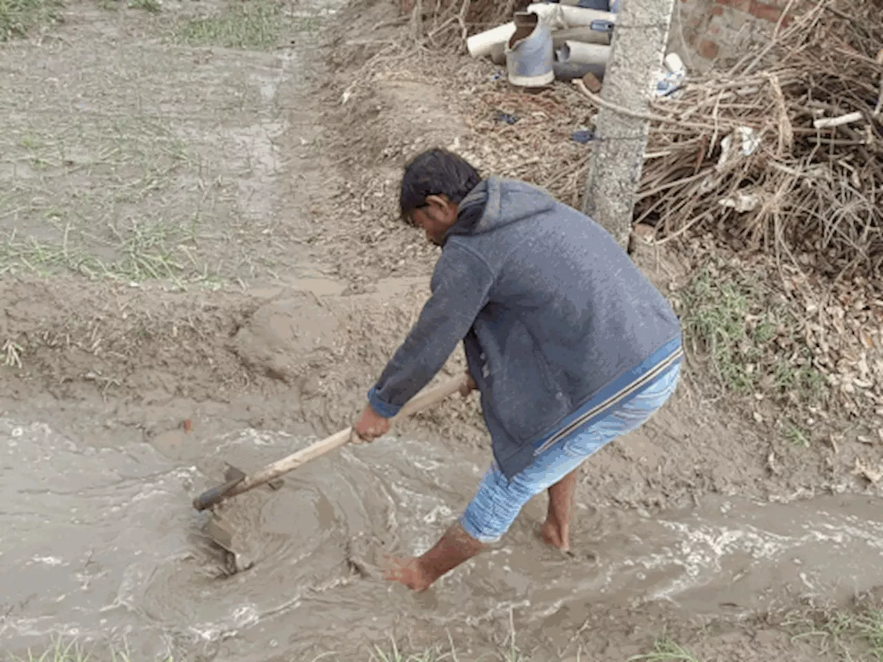 हरियाणा में बारिश-ओलावृष्टि से 51 हजार किसानों को नुकसान: हिसार-चरखी दादरी के 417 गांवों में क्षति, मुआवजे ...