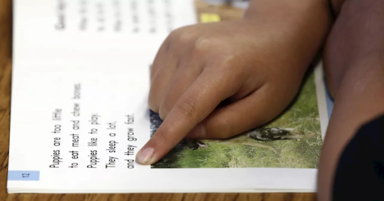 Reinforcing Public Trust in STAAR's Automated Scoring