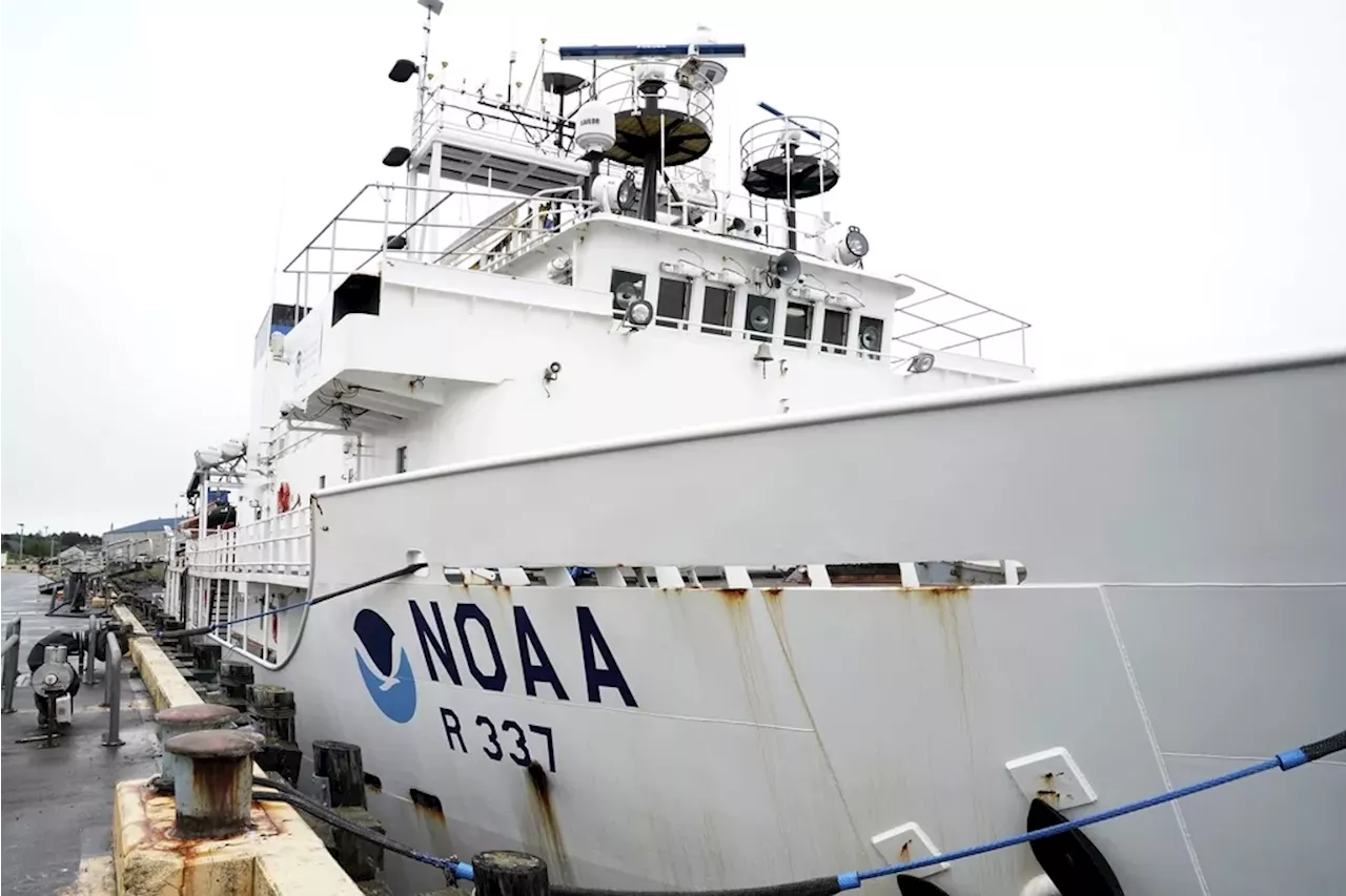 DOGE enters NOAA, raising Democratic fears it will be dismantled