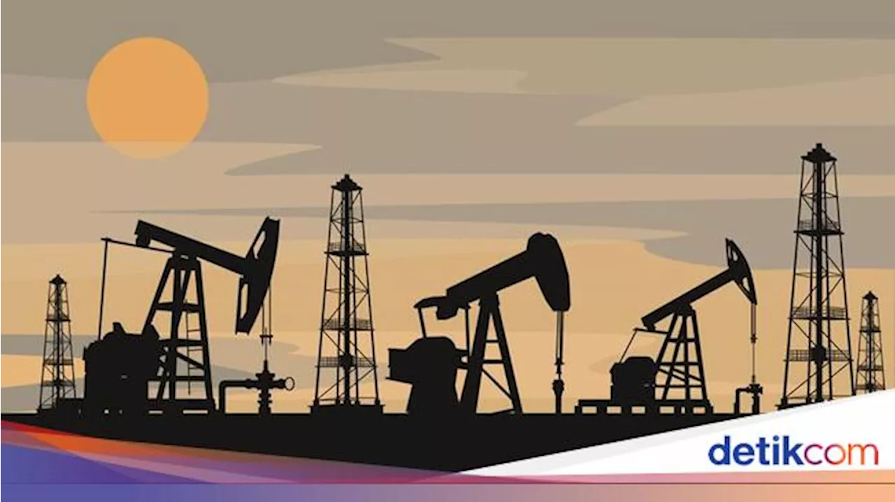 Pemerintah Indonesia Prioritaskan Penggunaan LNG untuk Kebutuhan Dalam Negeri