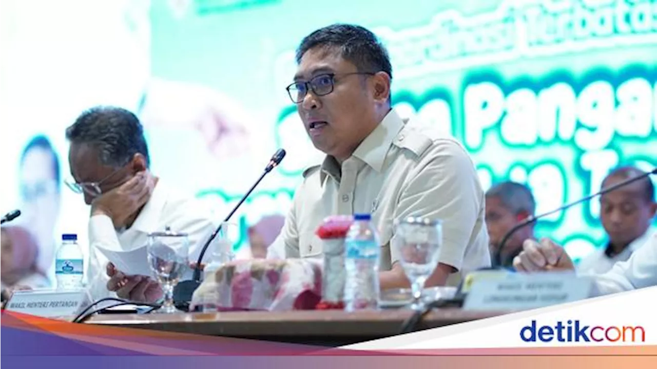 Wamentan Ungkap Cara RI Bisa Swasembada Gula-Garam